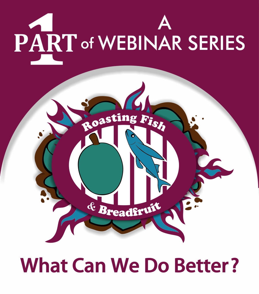 SAEDI Consulting Barbados Inc: Webinar Highlights